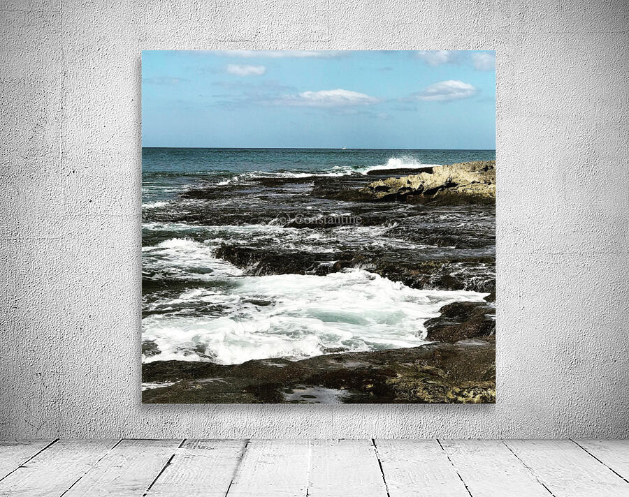 Tidepools 1 Wall Preview
