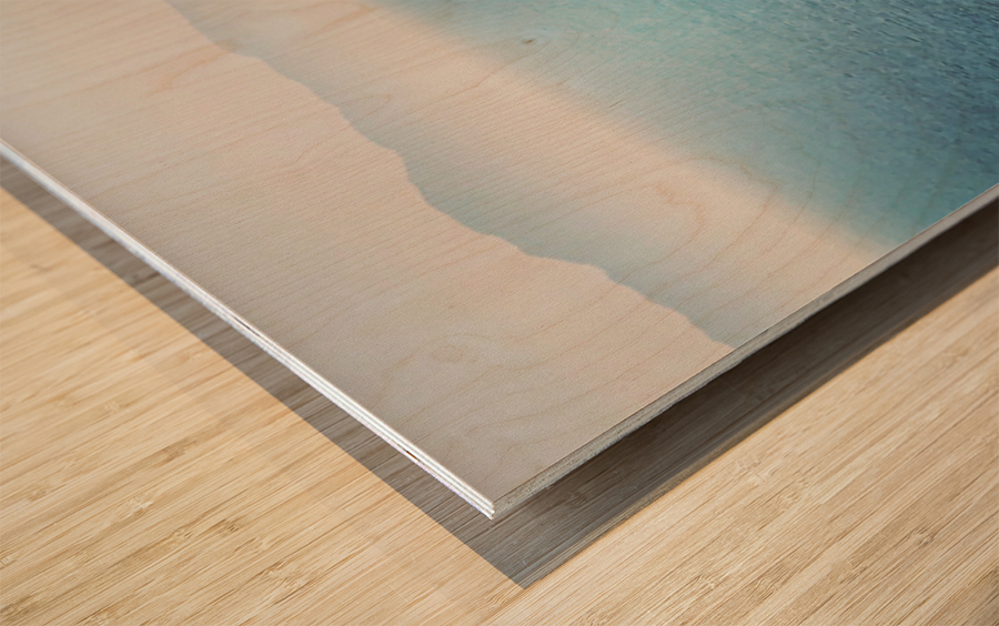 Oceanic Journey 1 Wood print