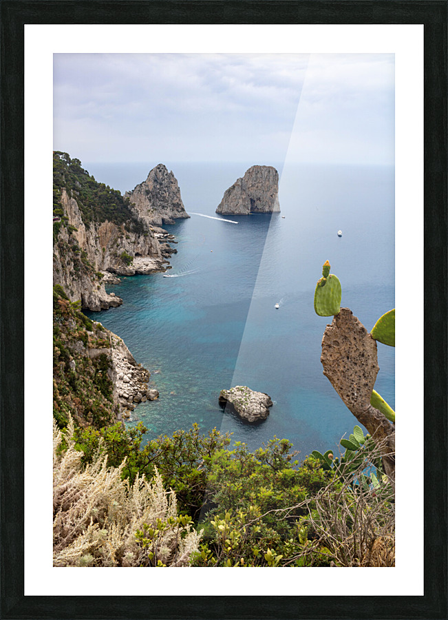 capri 2 Picture Frame print