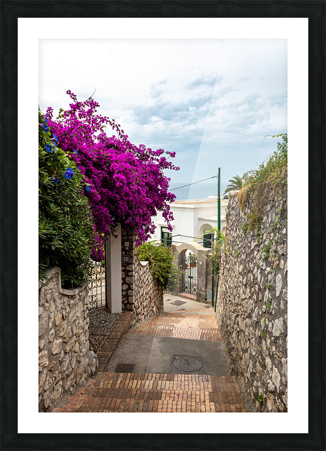 capri 3 Picture Frame print