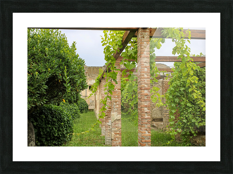 pompei 4 Picture Frame print