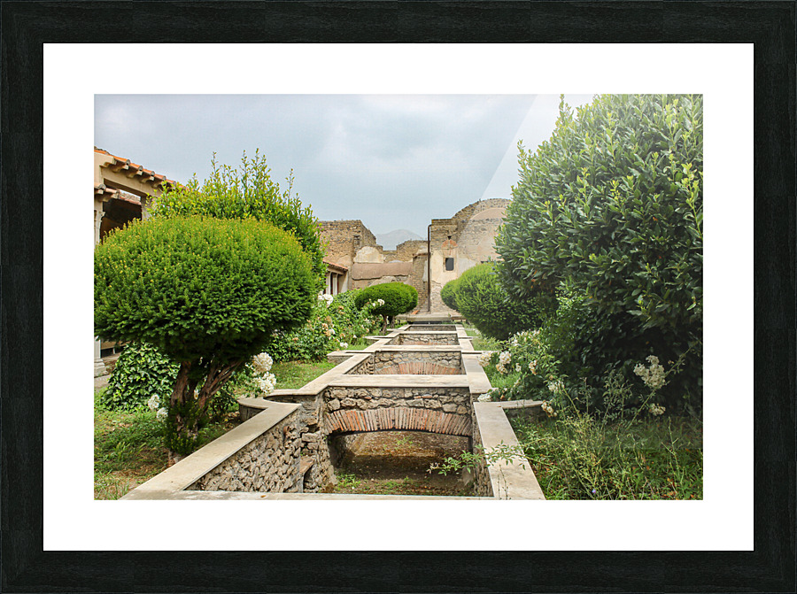 pompei 5  Picture Frame print