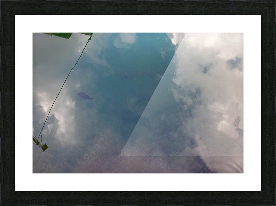 reflect  Picture Frame print