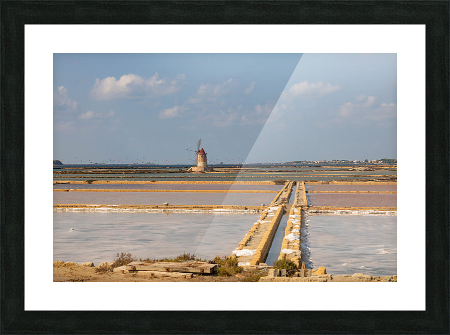 saline  Picture Frame print