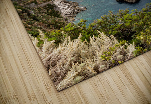 capri 2 Holympe puzzle