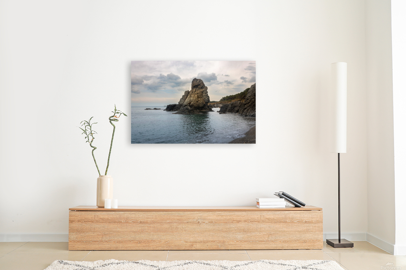 Plage 1 Reproduction