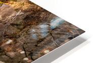 Cascade 2 HD Metal print