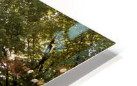 IMG 6172 HD Metal print