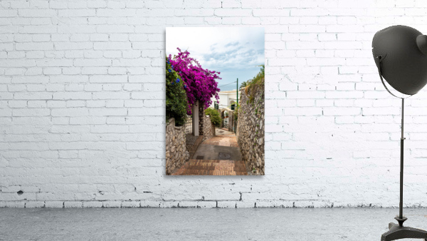 capri 3 Wall Preview