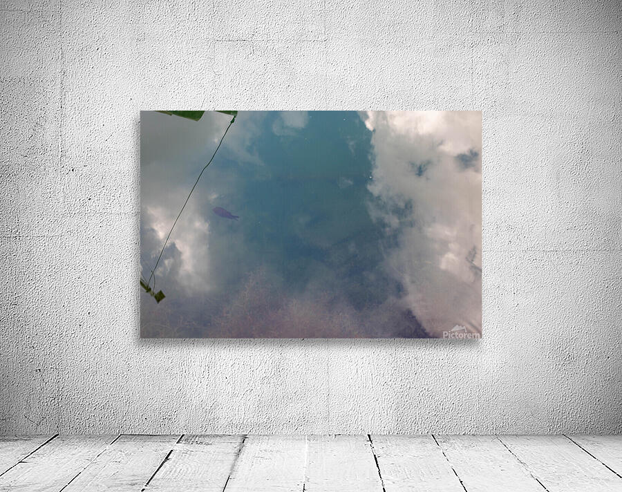 reflect  Wall Preview
