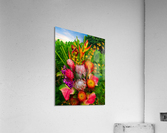 Tropical flowers Acrylic Print