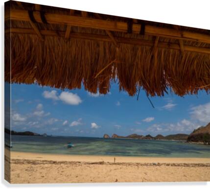 Under the Tiki Hut Canvas Print