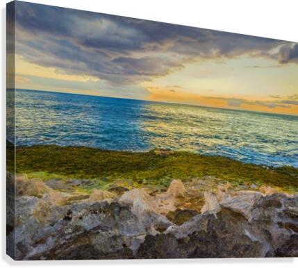 Hawaiian icicles Canvas Print