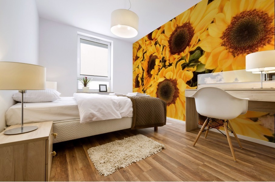 Sunflower field Mural print