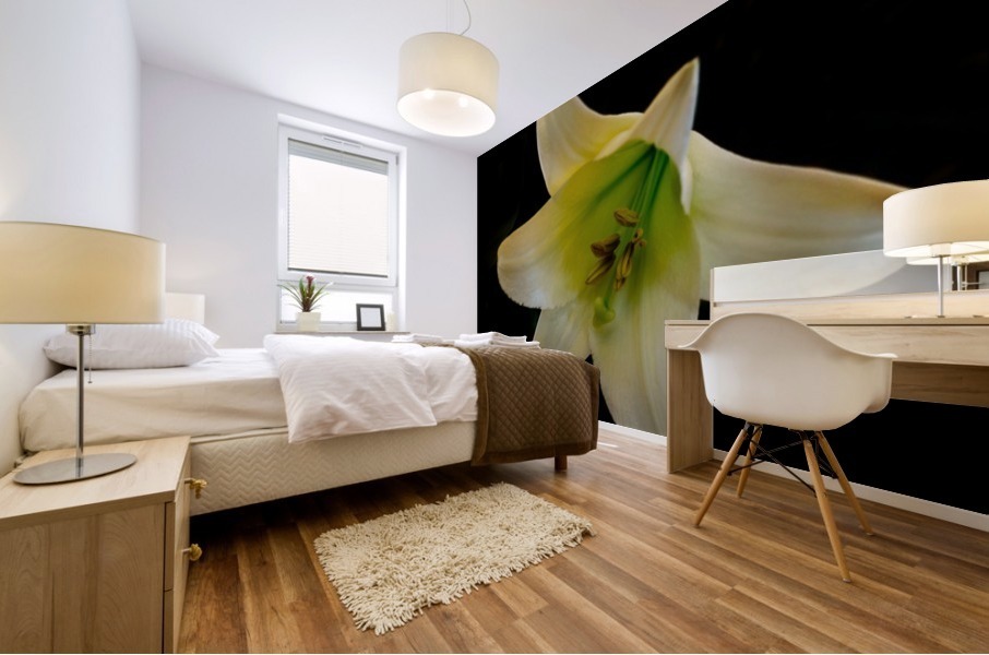 White Lily Mural print