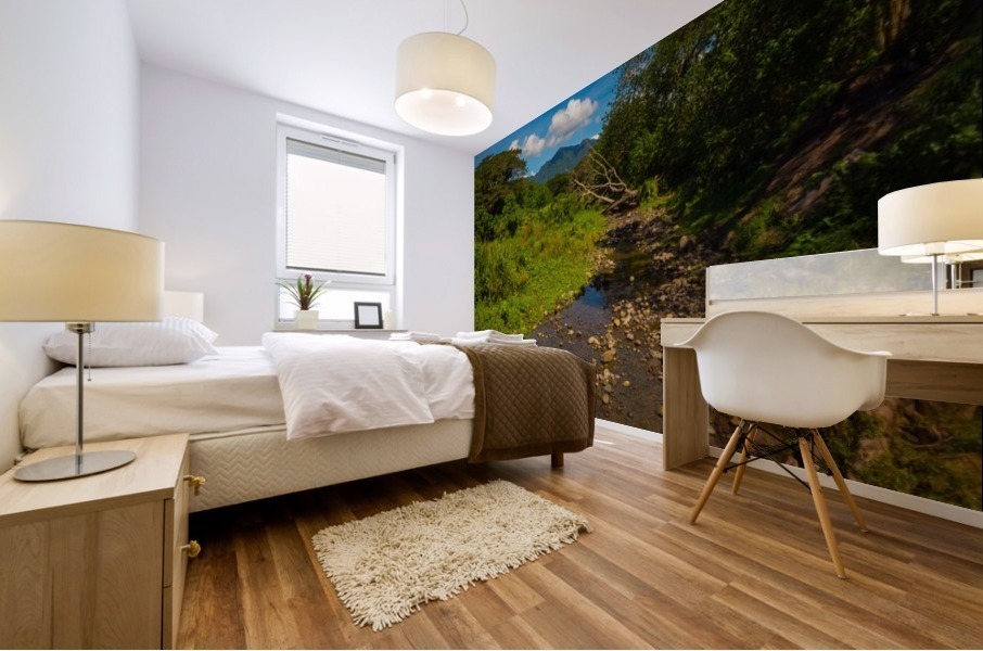 Riverbed Mural print