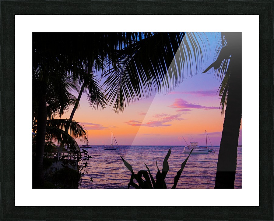 Marina Nights Picture Frame print