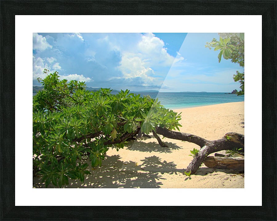 Caron  Palawan Picture Frame print