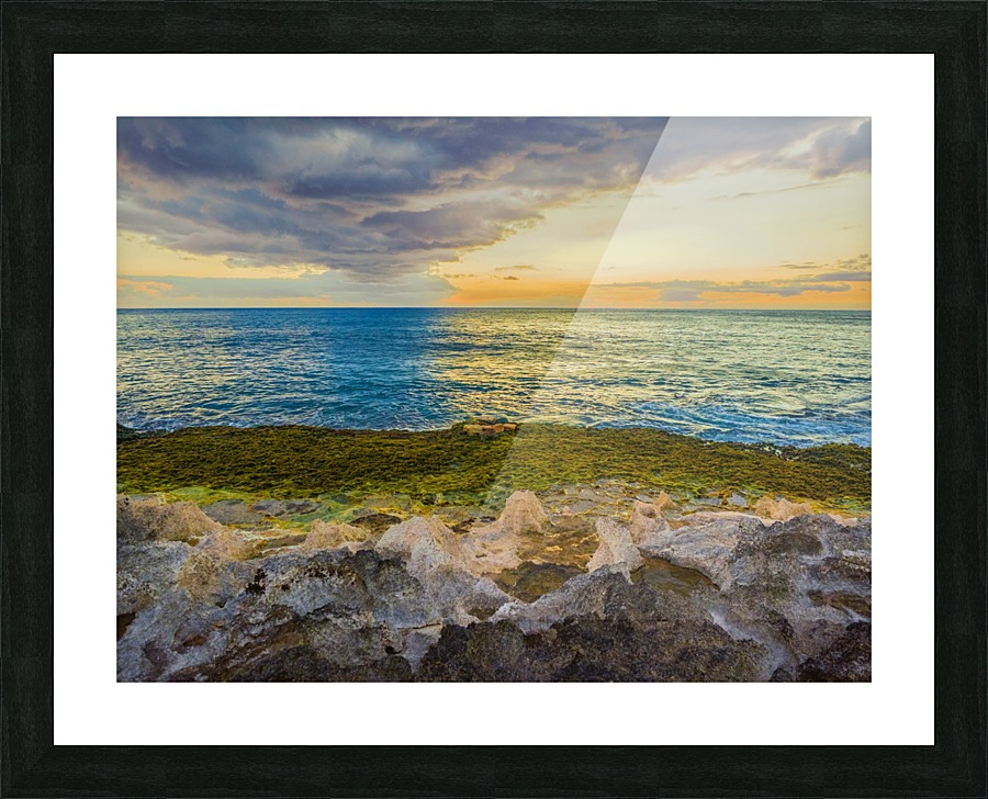 Hawaiian icicles Picture Frame print