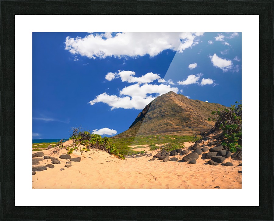 Kaena Point view Picture Frame print