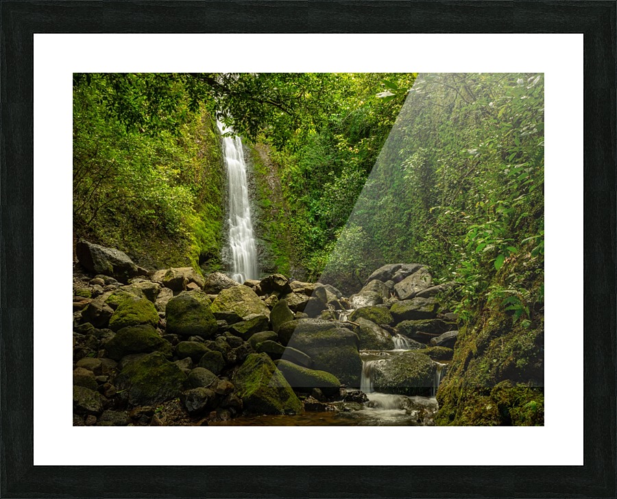 lulumahu 2 Picture Frame print
