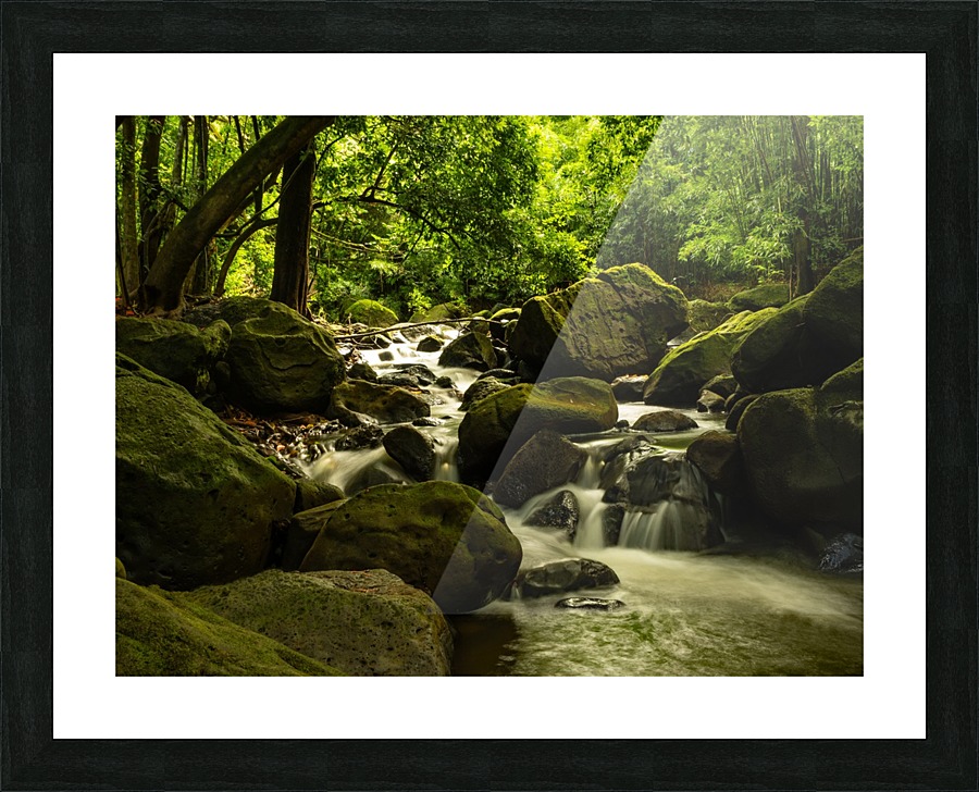 jungle river Picture Frame print