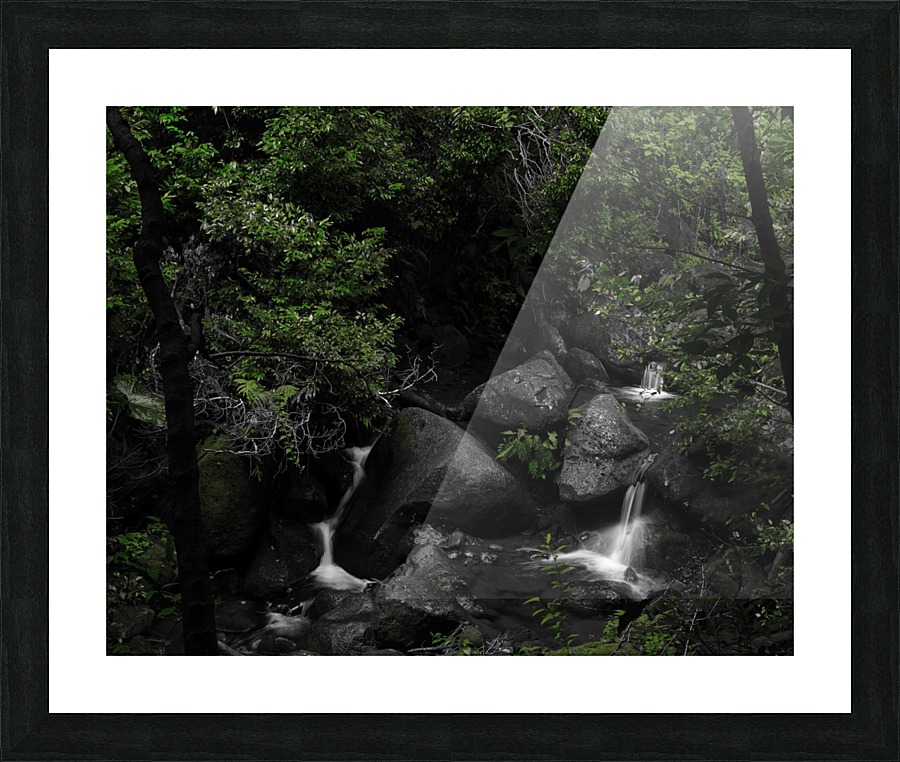 HIdden Picture Frame print