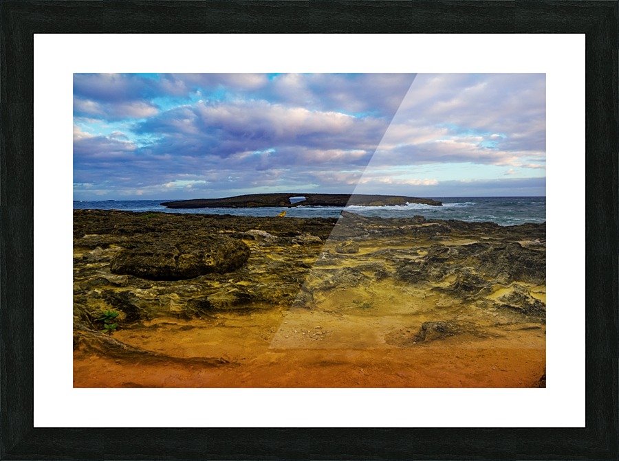 Laie Puka 1 Picture Frame print
