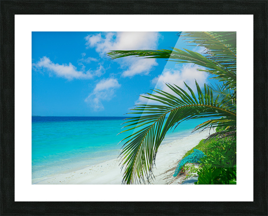 shoreline zone  Picture Frame print