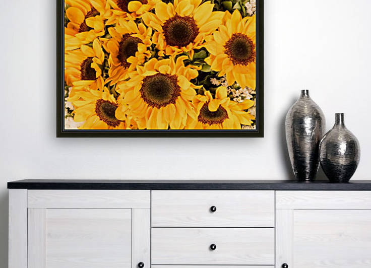 Sunflower field Reproduction
