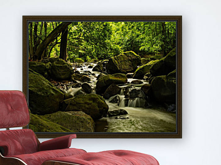 jungle river Reproduction