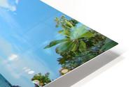 Caron  Palawan HD Metal print
