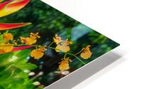 Tropical flowers HD Metal print