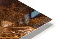 where theres fire HD Metal print