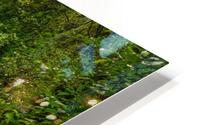 lulumahu 2 HD Metal print