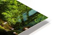jungle river HD Metal print