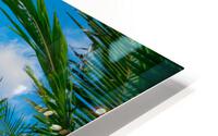 shoreline zone  HD Metal print