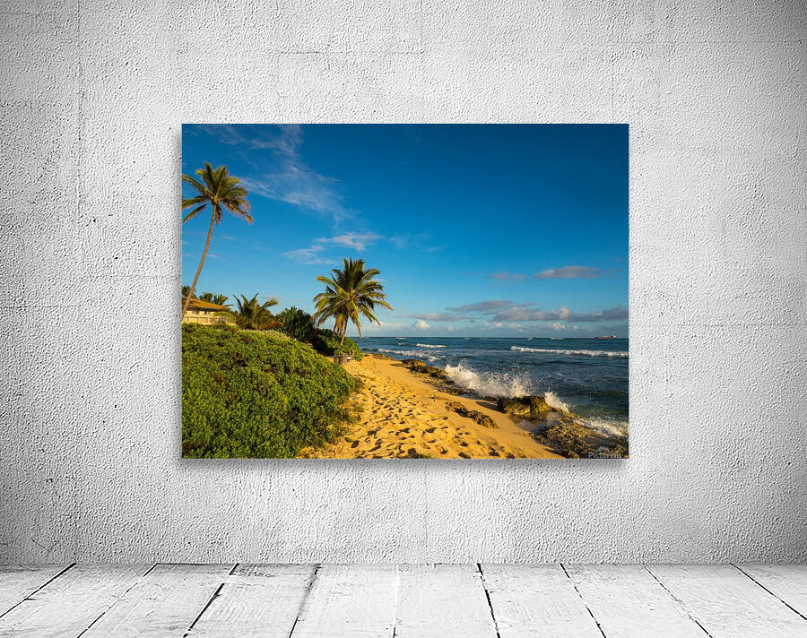Beachside Wall Preview