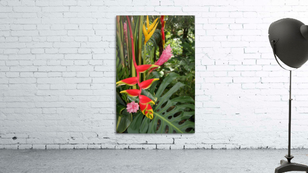 Hawksbill and ginger Wall Preview