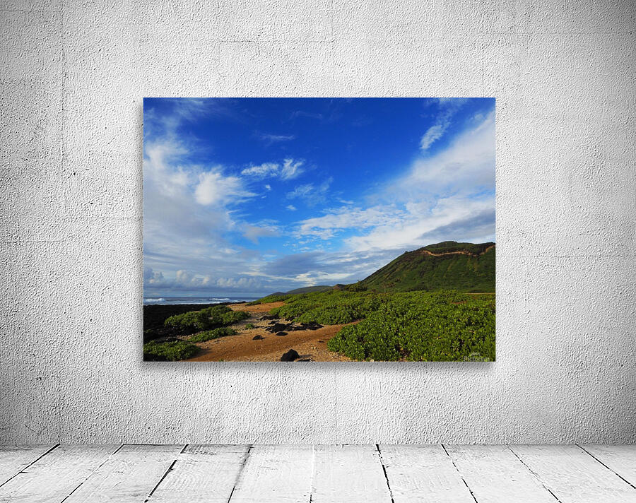 Sandy beach serenity Wall Preview