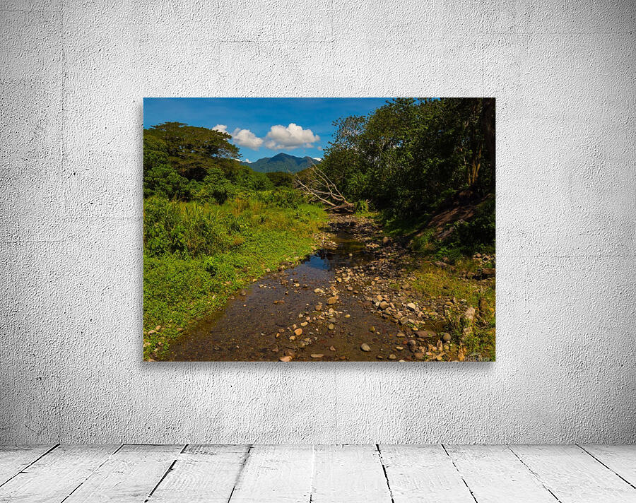 Riverbed Wall Preview