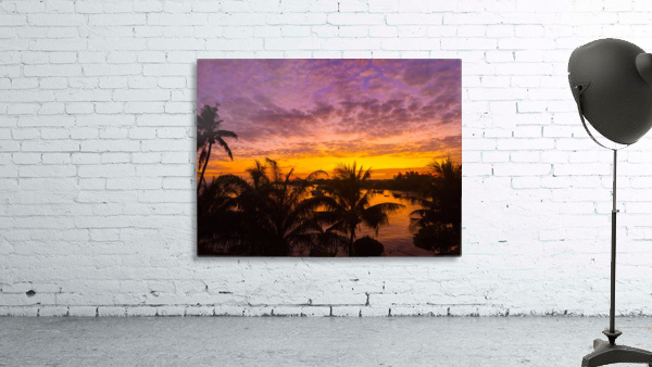 Solomon Mornings Wall Preview
