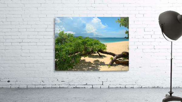 Caron  Palawan Wall Preview