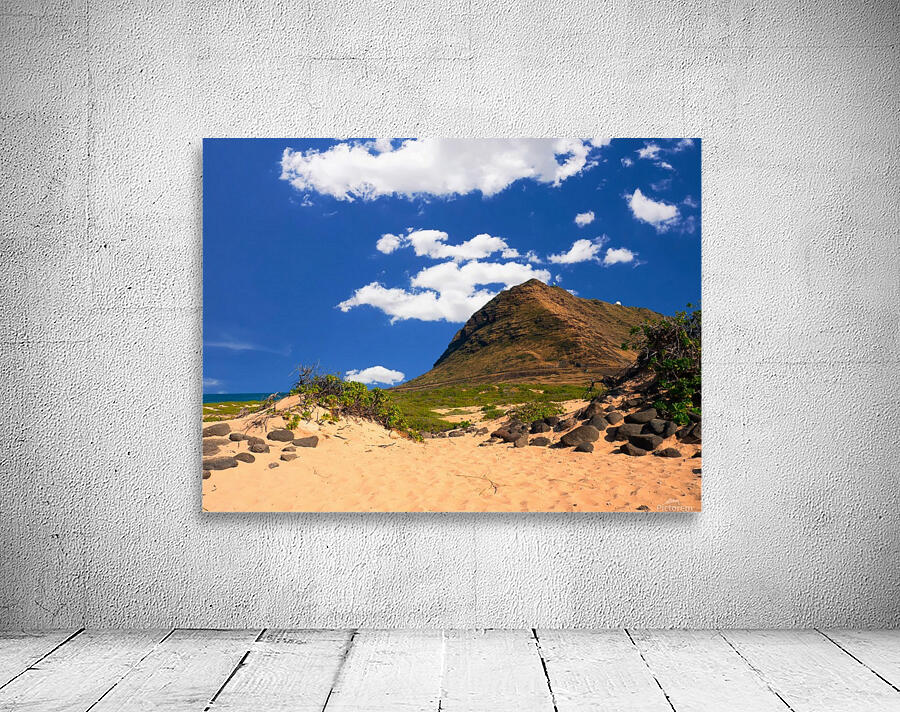 Kaena Point view Wall Preview