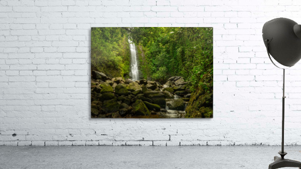 lulumahu 2 Wall Preview