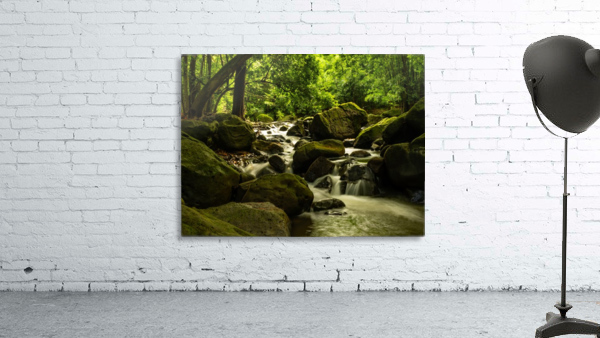jungle river Wall Preview