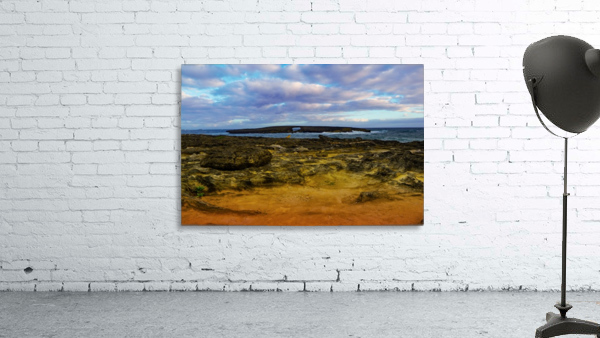 Laie Puka 1 Wall Preview