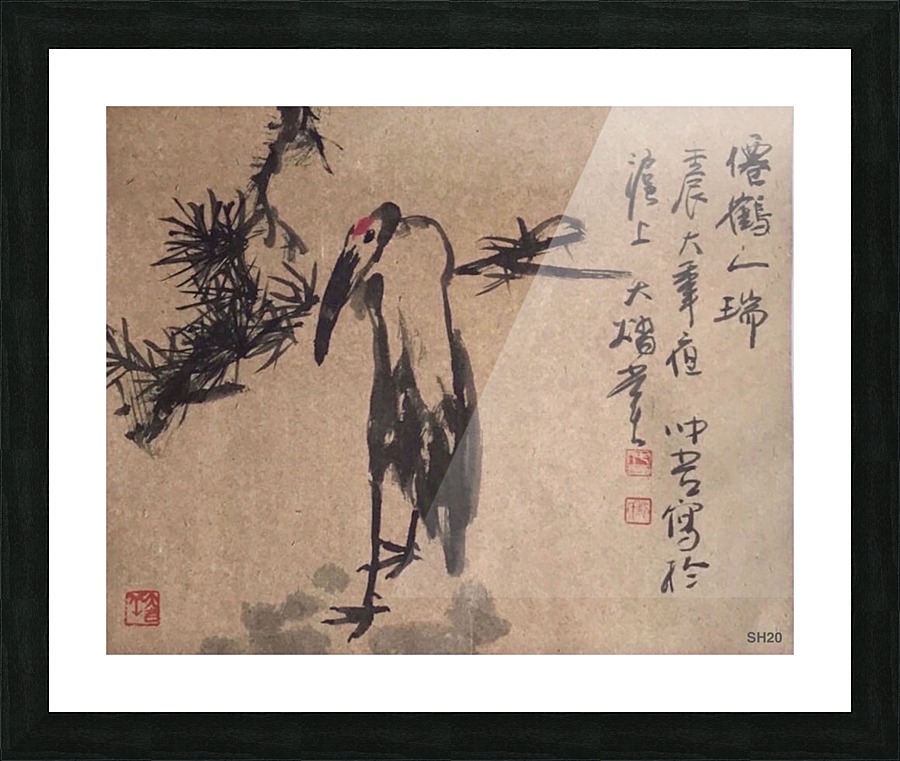 SH 20 Bird   Picture Frame print