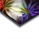 Electric Palm - Rainbow Acrylic print