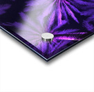 Electric Palm - Violet Square Acrylic print